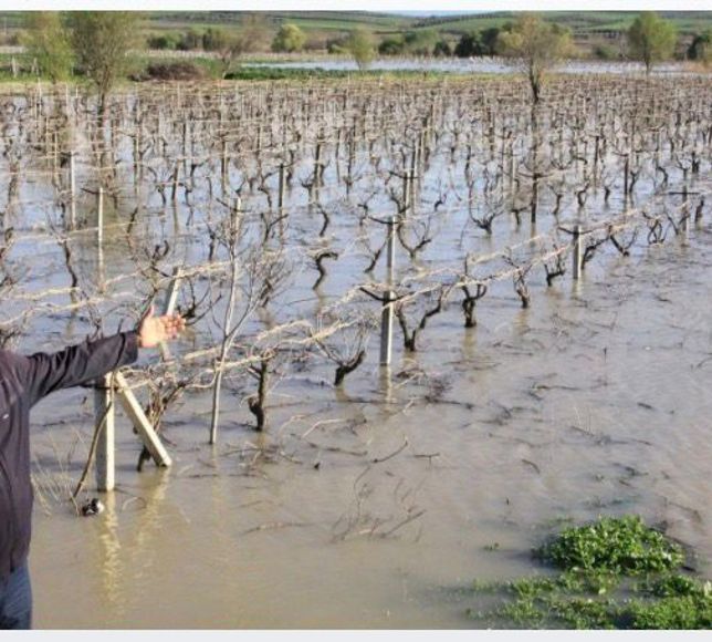 Ziraat Odası Başkanı Okur’dan “Gediz boşa akıyor” feryadı