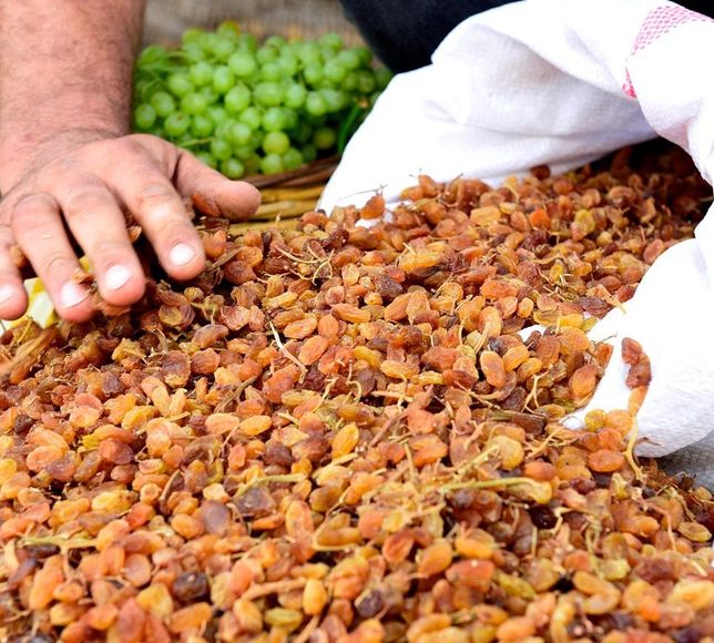 Manisa’nın kuru üzümüne en çok Birleşik Krallık rağbet ediyor