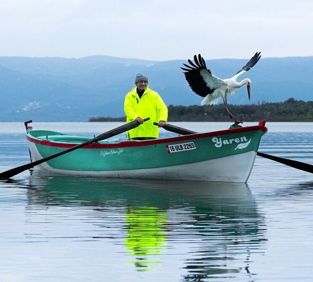 Yaren leylek 15'inci kez Karacabey'e döndü