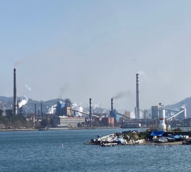 "Kirli hava insan hakları ihlali" uyarısı: Karadeniz Ereğli'de gözler Erdemir emisyonlarında