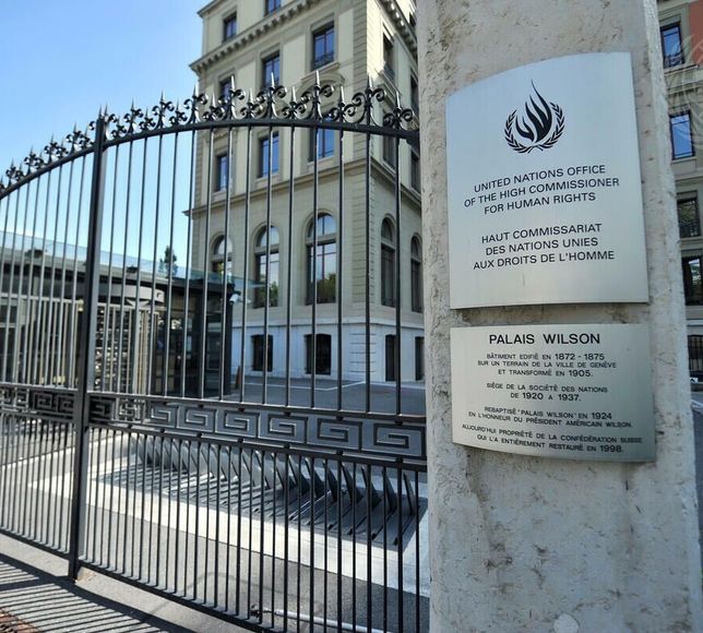 BM uzmanlarından Türkiye’ye, “insan hakları savunucuları ve avukatları kriminalize etmeyin” çağrısı