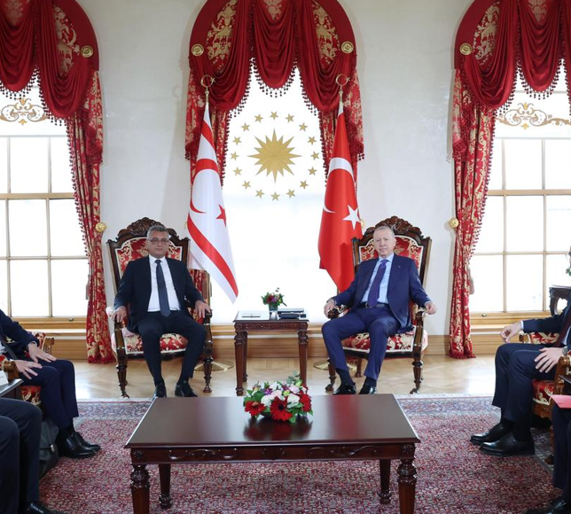Erdoğan KKTC Cumhurbaşkanı Erhürman ile görüştü