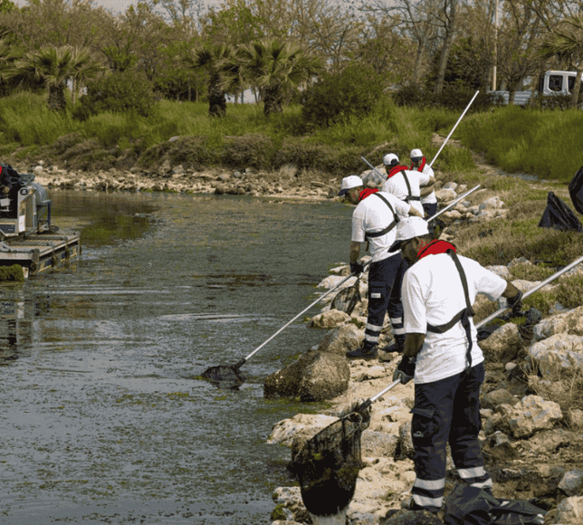 Bilim insanları: Temiz Körfez için Gediz Havzası’nda çözüm aranmalı