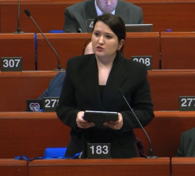 Gökçe Gökçen: Seçimleri kazandığımızda ilk işimiz İstanbul Sözleşmesi’ni yeniden imzalamak olacak