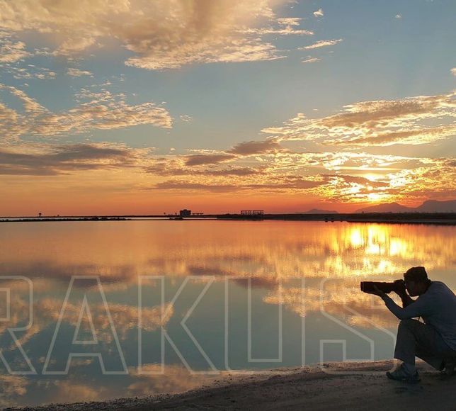 Van Gölü'nün kuzey kıyılarında çadırsız kuş gözlem kampı düzenlenecek