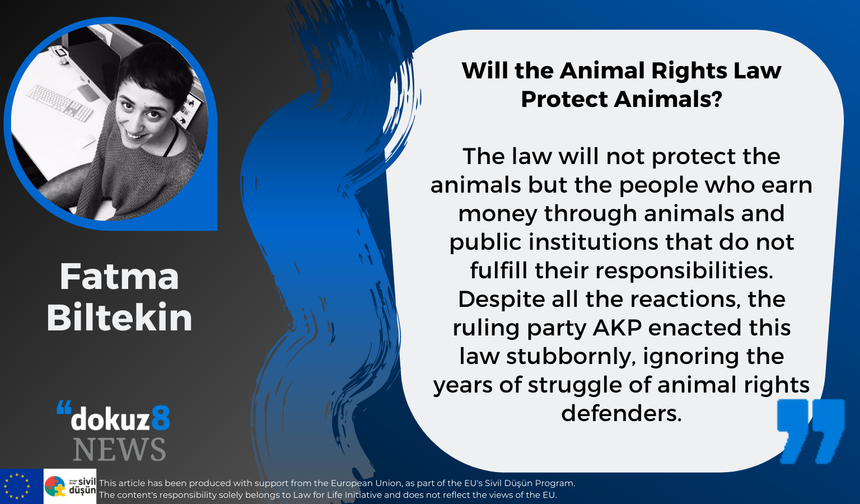 Will the Animal Rights Law Protect Animals?