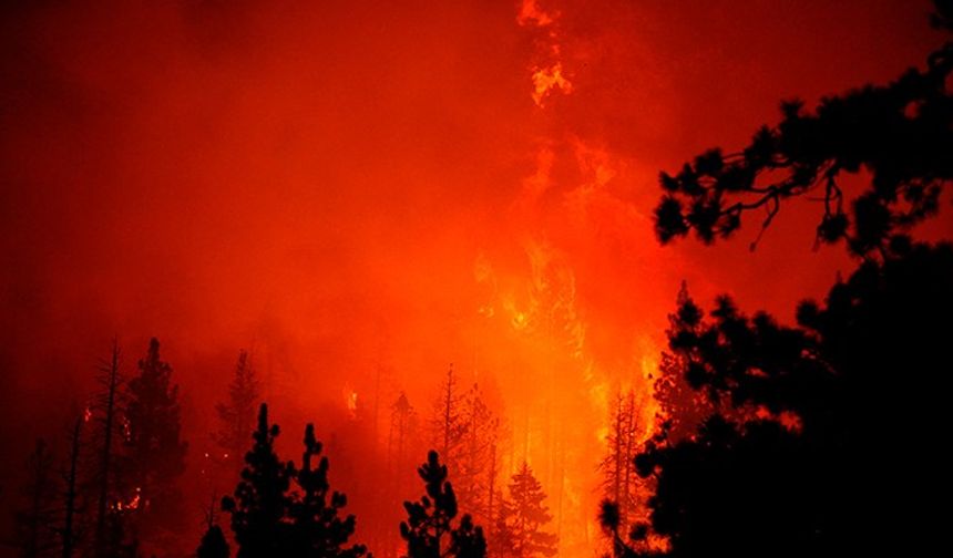 Caldor yangını ABD'de 756 kilometrekare alana yayıldı