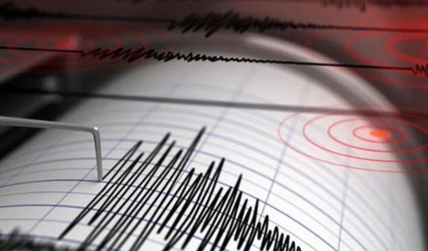Van'da 4.6 büyüklüğünde deprem meydana geldi