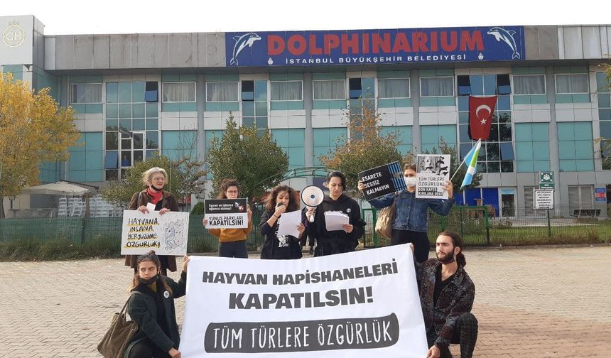 İstanbul Dolphinarium önünde eylem