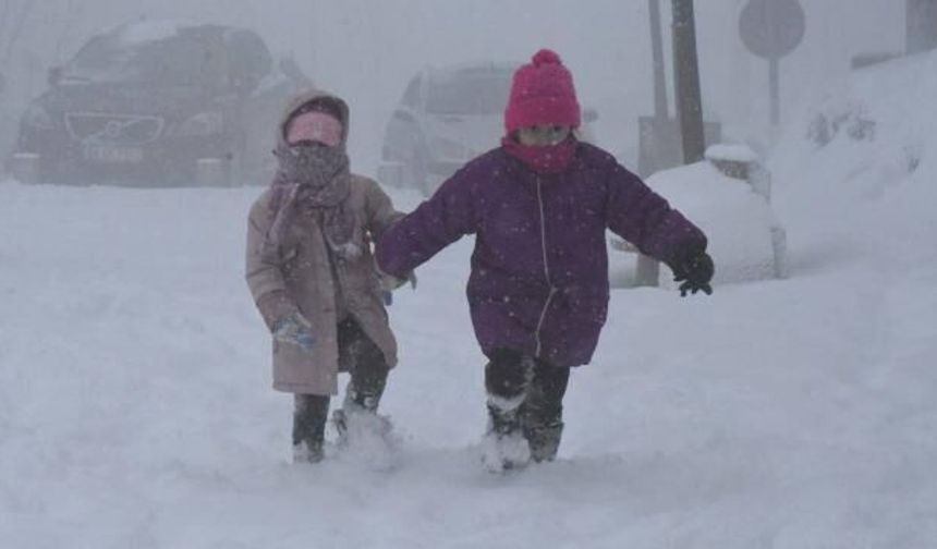 Muş'ta olumsuz hava koşulları nedeniyle yarın eğitime ara verildi