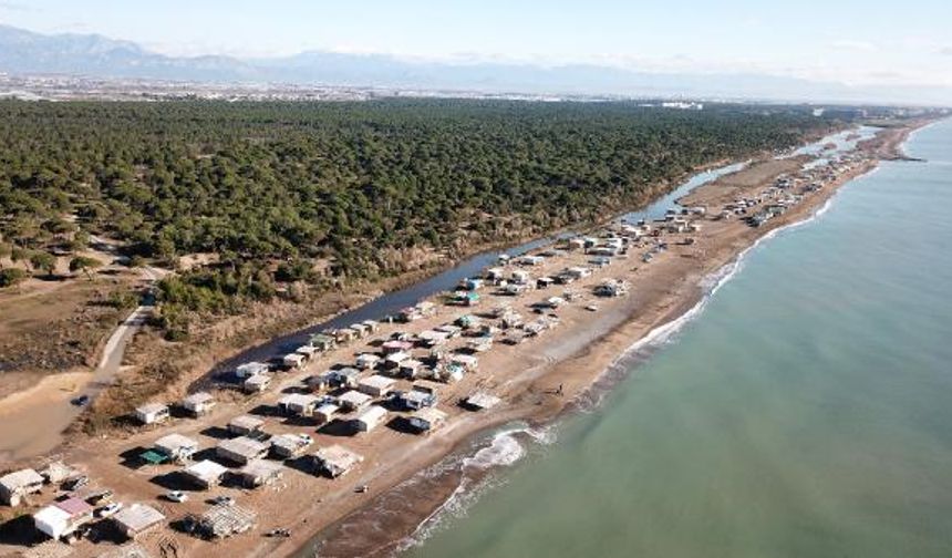 Antalya'da caretta caretta yuvalama alanına yapılan 700 çardak yıkılacak