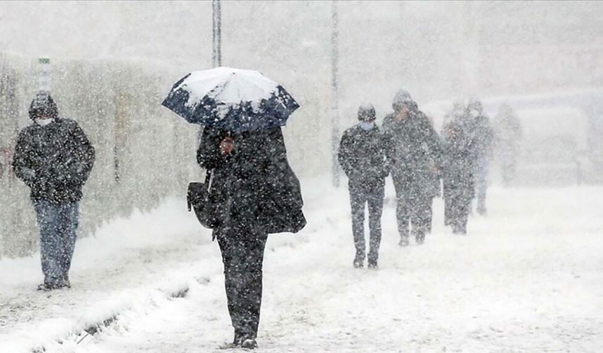 Kars ve Tunceli'de kar etkili oldu