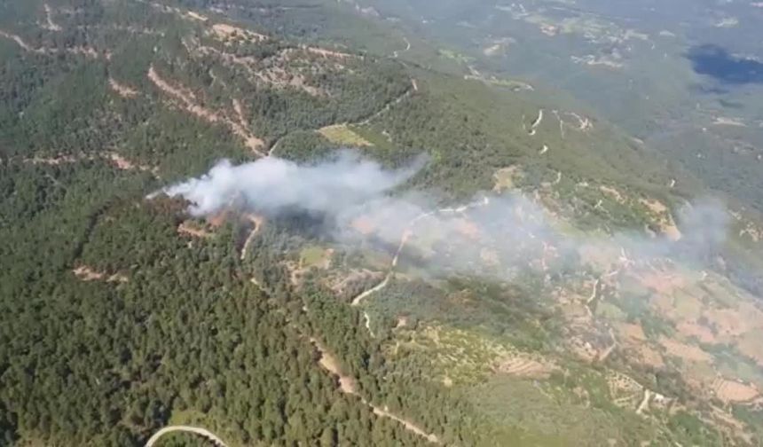 İzmir Kemalpaşa'da çıkan orman yangını kontrol altına alındı