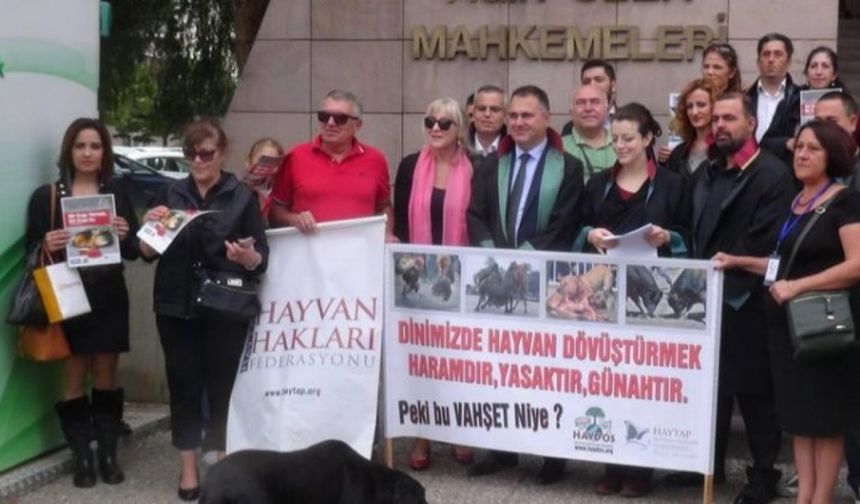 İzmir Bayındır'da hayvan katliamı iddiası