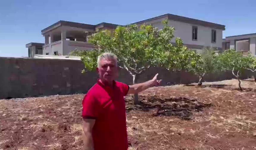 Tarım arazisine kaçak villa yapan eski AKP'li: İnşallah imar barışı çıkar