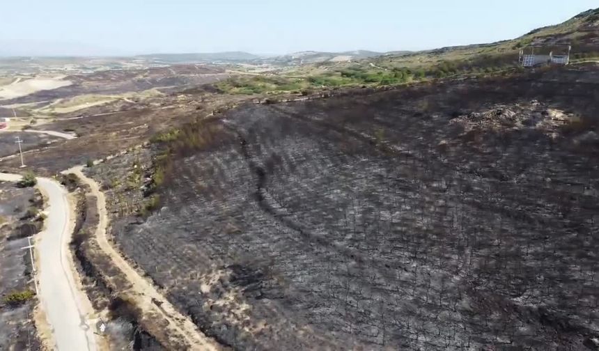 Çeşme'deki yangın felaketi havadan görüntülendi: İşte yangın sonrası Çeşme