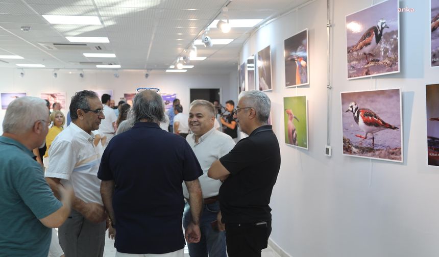 Atakum Belediyesi nesli tükenen kuşlar için fotoğraf sergisi düzenledi