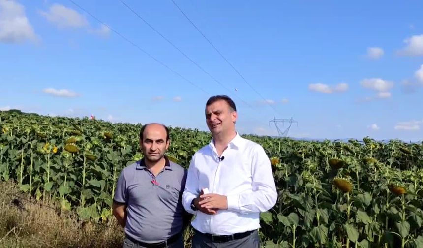CHP Samsun İl Başkanı: 3 yıldır hasat bitiyor, hasat bittikten sonra ayçiçek fiyatı açıklanıyor