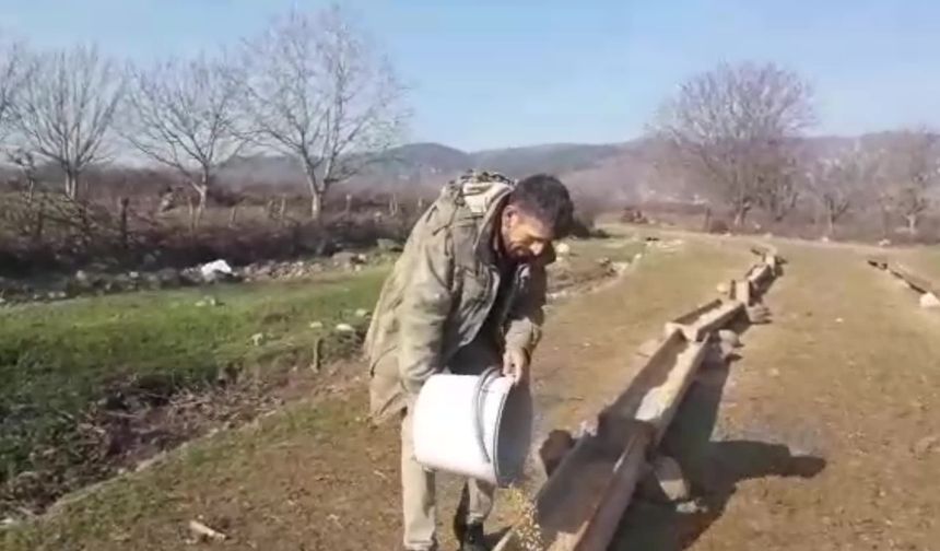Çambükülü hayvan yetiştiricisi: 4 bin lira maaşı hayvanlara veriyorum