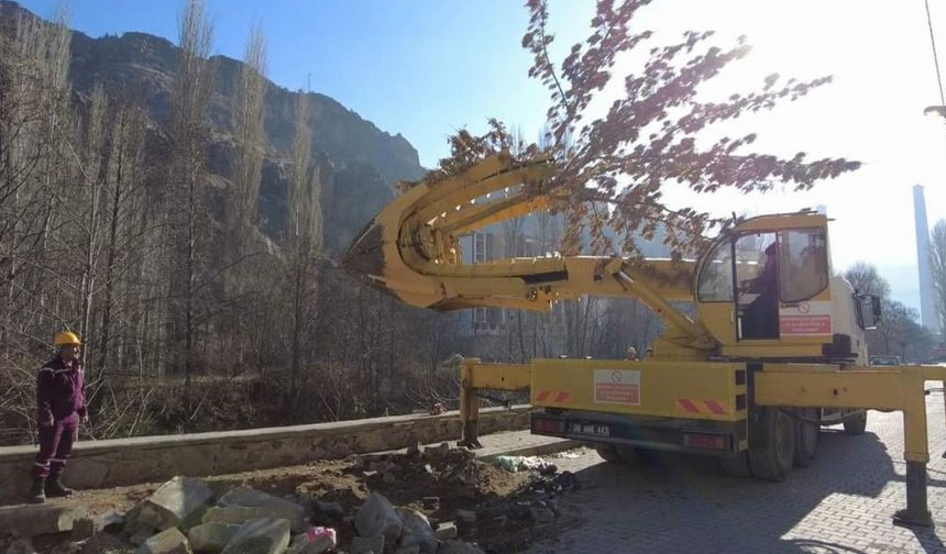 Türkiye’nin en büyük ağaç taşıma işlemi  Yusufeli'nde gerçekleştiriliyor