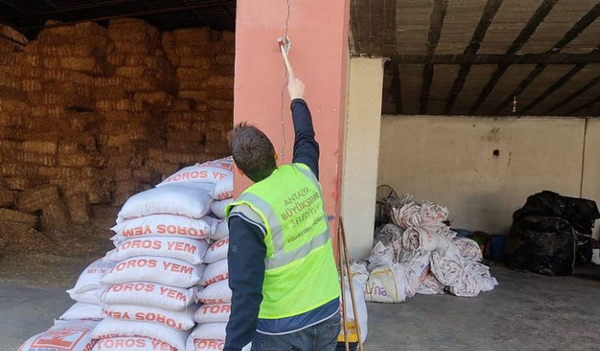 Osmaniye'de hasar tespit çalışmaları sürüyor
