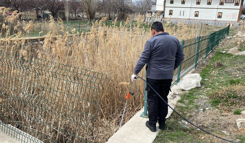 Kırşehir Belediyesi ekipleri, sinek ve haşerelere karşı ilaçlama çalışmalarını sürdürüyor