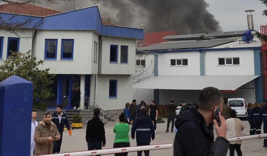 Tekirdağ'da kimya fabrikasında çıkan yangın hasara neden oldu
