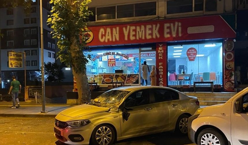 Diyarbakır'da park halindeki 3 aracın üzerine ağaç devrildi