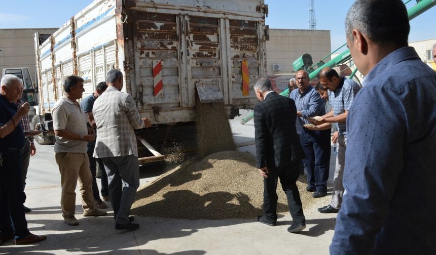 Mardin'de sezonun ilk arpa hasadı yapıldı