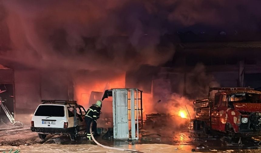 Giresun'da sanayi sitesinde yangın: 3 iş yeri zarar gördü