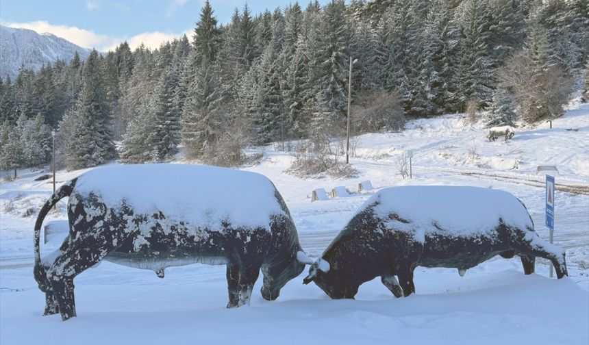 Rize ve Artvin'de kar nedeniyle 50 köyle ulaşım sağlanamıyor