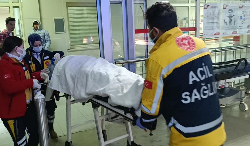 Adana'da otomobilin devrilmesi sonucu 2 kişi yaralandı