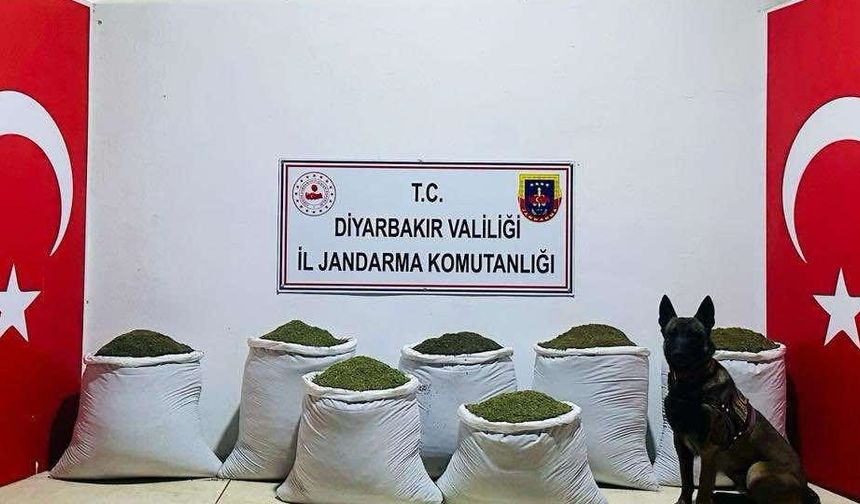 Diyarbakır'da 129 kilogram toz esrar ele geçirildi