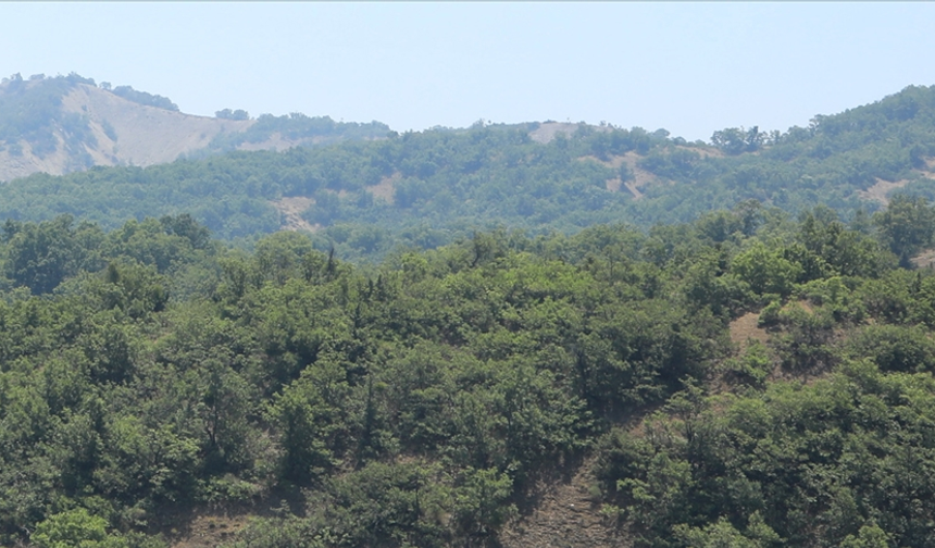 Kars'ta ormanlık alanlara girişler 15 Ekim'e kadar yasaklandı