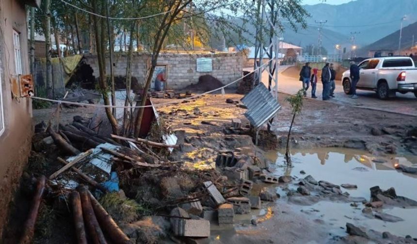 Van'da sel: Çok sayıda hayvan öldü, yapılar zarar gördü