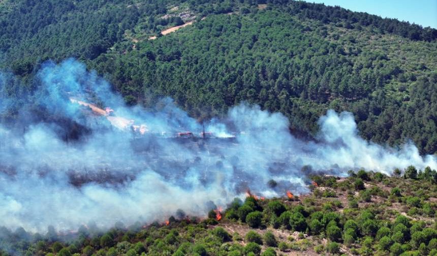 İstanbul Aydos Ormanı'ndaki yangın kontrol altına alındı