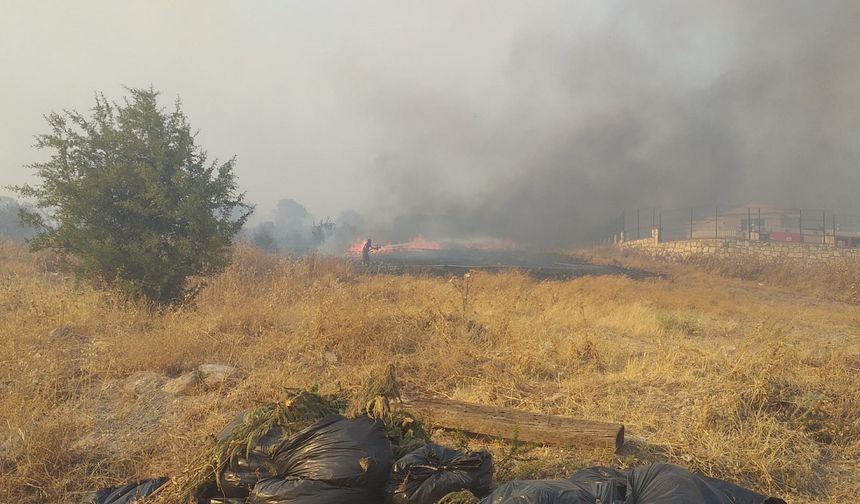 İzmir'de askeri bölgede başlayan yangın ormana sıçradı