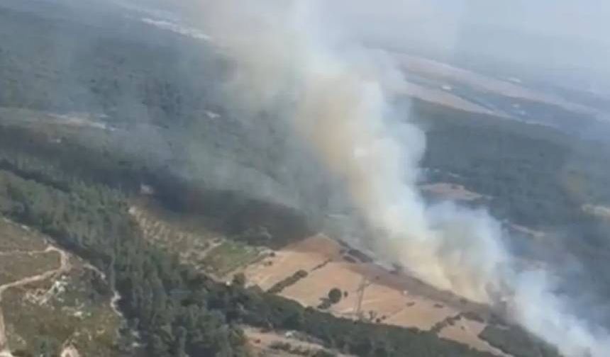 İzmir'de  orman yangını: Nedeni araştırılıyor