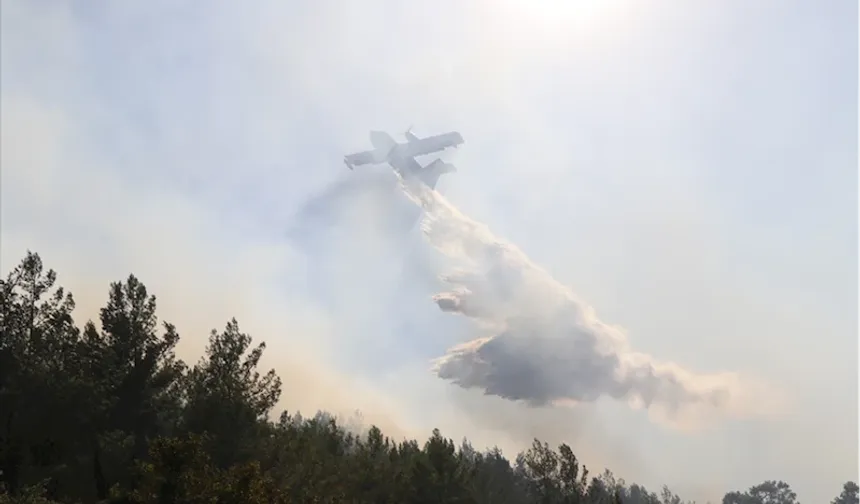 Bodrum'da orman yangınına müdahale ediliyor