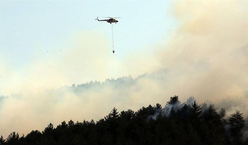 Kastamonu'da orman yangınına müdahale sürüyor