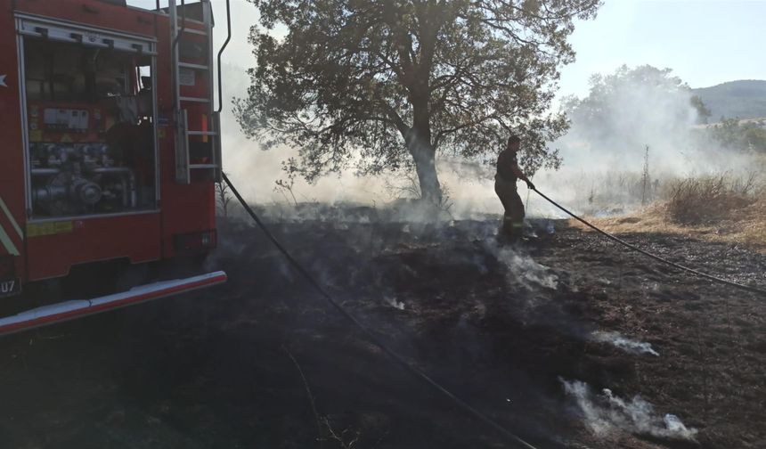 Büyükşehir İtfaiyesi görev başında: Balıkesir'de yangınlara hızlı müdahale