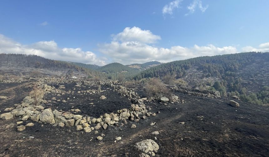 Bolu'da kontrol altına alınan yangında soğutma çalışması sürüyor