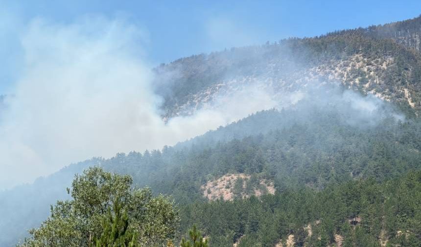 Çanakkale, Gelibolu'daki yangın büyük ölçüde kontrol altına alındı