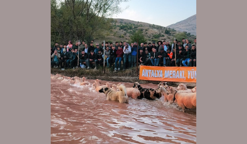 “Yünüm Böğet” Burdur’un Hasan Paşa Köyü’nde kutlandı