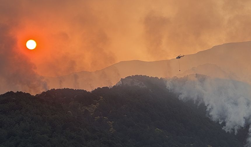 Denizli'deki orman yangınına müdahale sürüyor