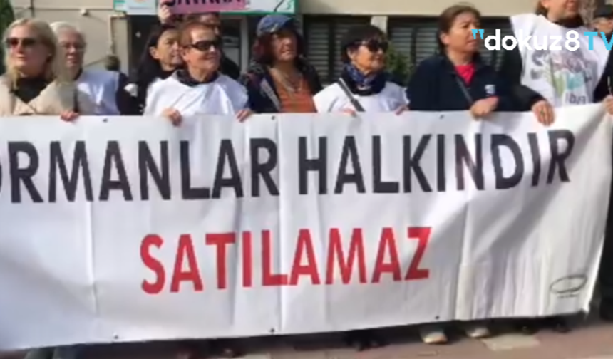 Çanakkale Orman Müdürlüğü'ne çağrı: Kaz Dağları'ndaki orman katliamını durdurun!