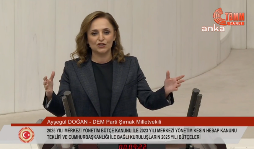 DEM Parti Milletvekili Ayşegül Doğan: "İletişim Başkanlığı'nın esas hedefi gazeteciler ve gazetecilik faaliyetleri