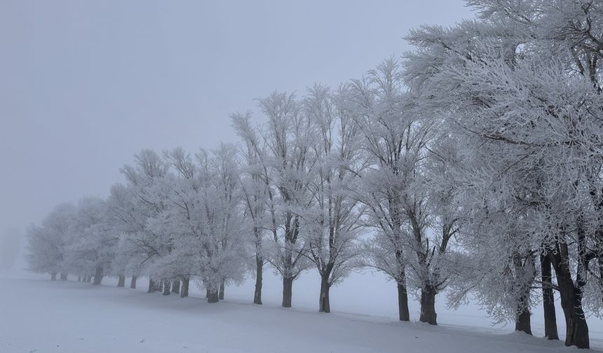 Erzurum sıfırın altında 17 dereceyle Türkiye'nin en soğuk ili oldu