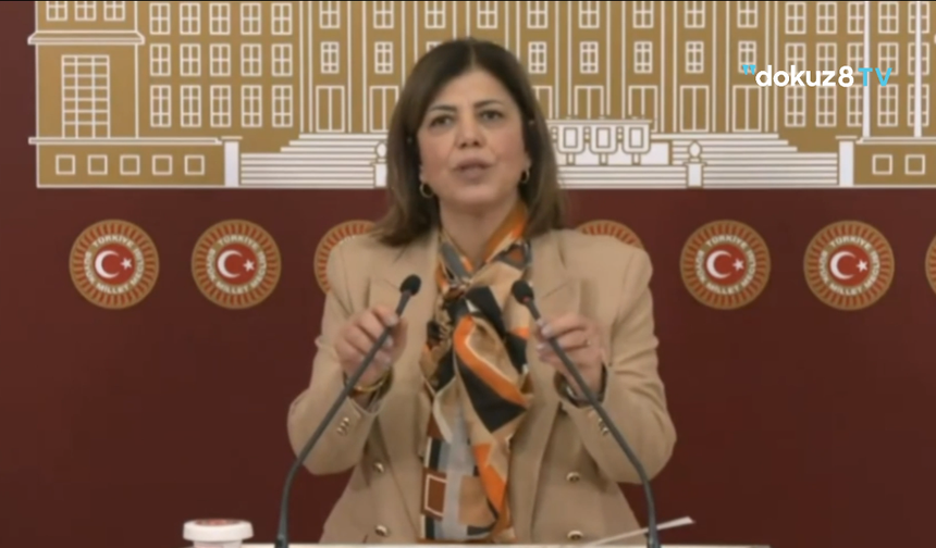 Meral Danış Beştaş: Kadının tek kimliğinin annelik olduğu tezine ve iddialarına karşıyız