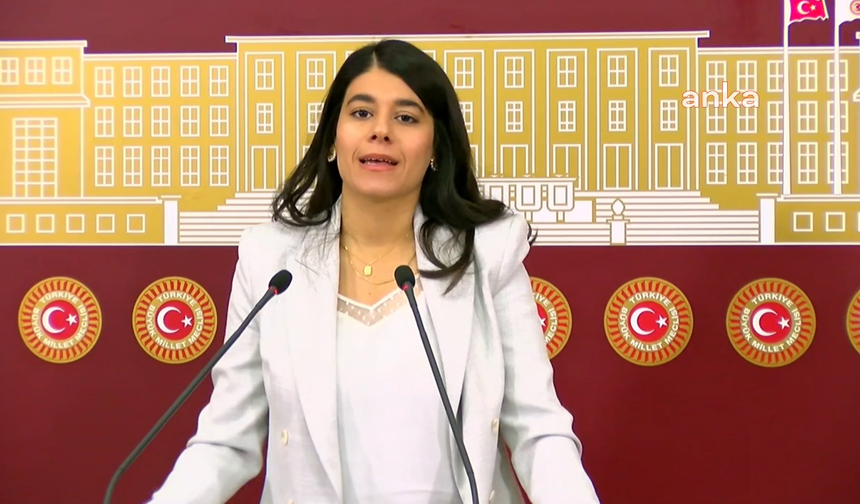 Beritan Güneş: Mardin göz göre göre ekolojik kırıma sürükleniyor
